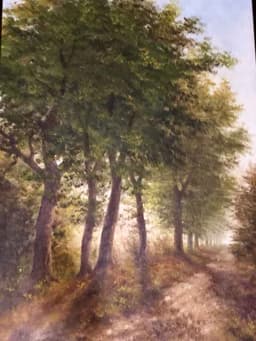 K. Jansen, Holland 2