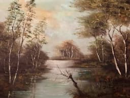 De Brouwer, Holland 2
